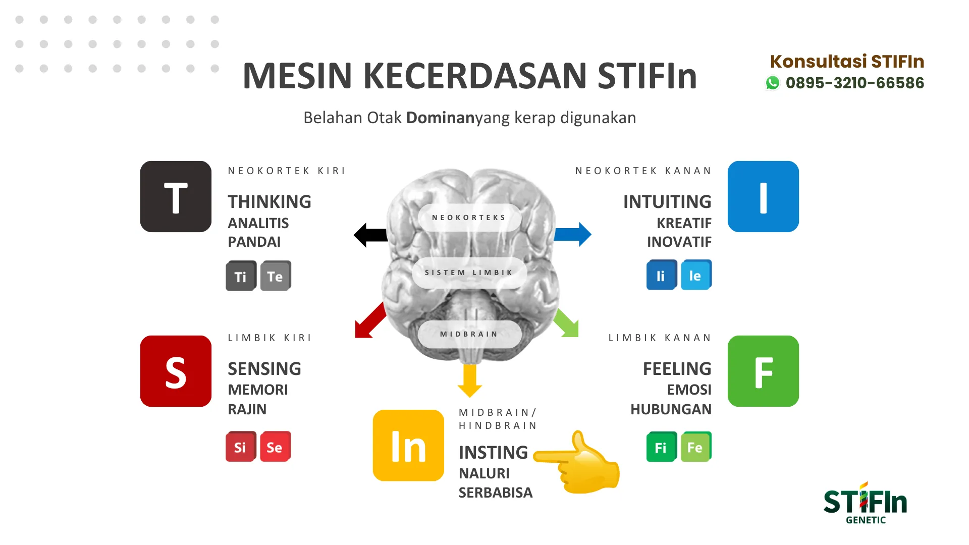 Mesin Kecerdasan STIFIn - Insting
