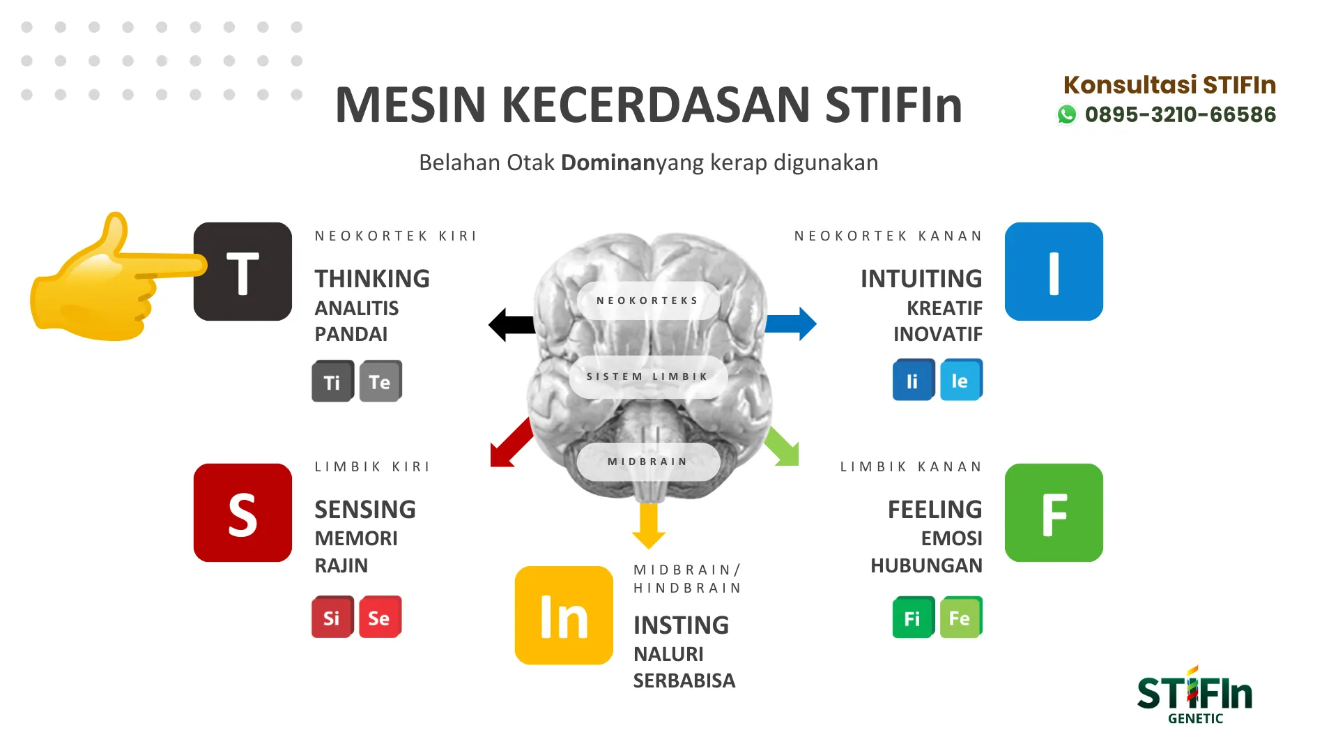 Mesin Kecerdasan STIFIn - Thinking