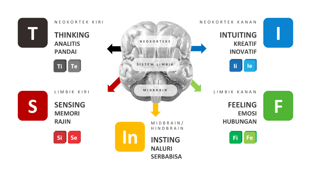 5 Mesin Kecerdasan STIFIn: Sensing, Thinking, Intuiting, Feeling, Instinct